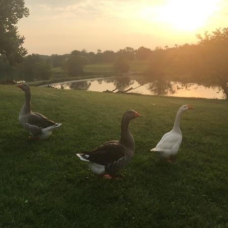 The B & B At Queenslake Midway Экстерьер фото