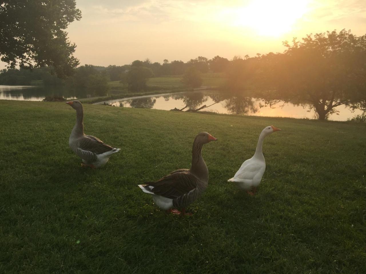 The B & B At Queenslake Midway Экстерьер фото